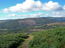 Ireland-Wicklow-Deluxe Wicklow Mountains Walk
